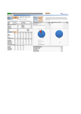 Company In Depth Analysis Overview