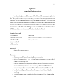 6. ปฏิบัติการ Rhizobium