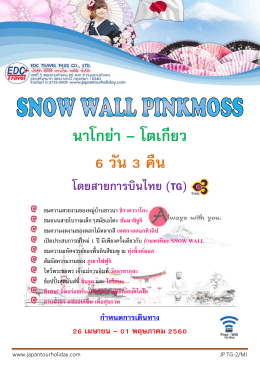 นาโกย่า – โตเกียว 6 วัน 3 คืน