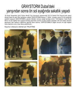 GRAYSTORM Dubai`deki yarışından sonra ön sol