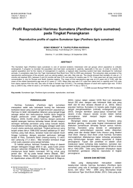 Profil Reproduksi Harimau Sumatera (Panthera tigris sumatrae