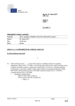 5325/17 COR 1 mp/lk 1 GIP 1B OPRAVA č. 1 K PŘEDBĚŽNÉMU