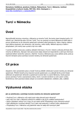 Turci v Německu - Hospodářská a kulturní studia