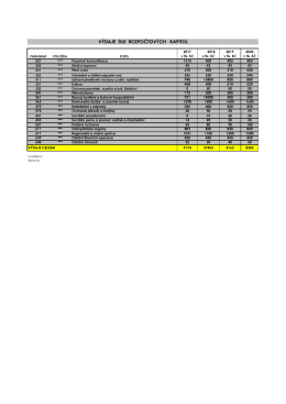 Rozpočtový výhled 2017-2020