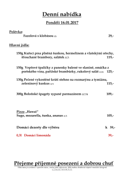 Denní menu