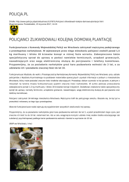 policja.pl policjanci zlikwidowali kolejną domową plantację
