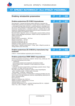 otwórz w pdf