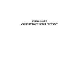 Autonomiczny układ nerwowy