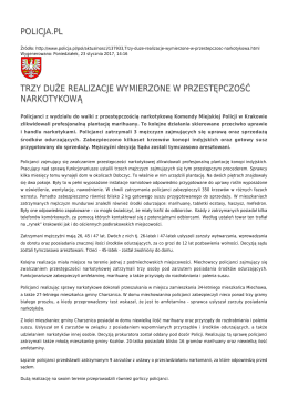 policja.pl trzy duże realizacje wymierzone w przestępczość