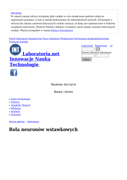 Rola neuronów wstawkowych - Informacje