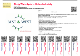 Akcja Walentynki – Holandia kwiaty