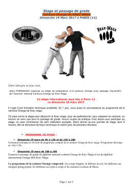 Formation acc&eacute;l&eacute;r&eacute;e ceinture ORANGE en Krav Maga le 19 mars