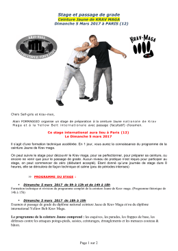 Formation acc&eacute;l&eacute;r&eacute;e ceinture JAUNE en Krav Maga le 5 mars 2017
