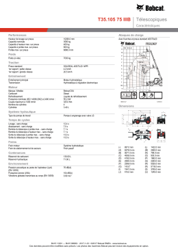 T35.105 75 IIIB Télescopiques