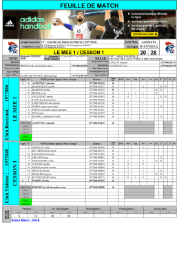 feuille de match
