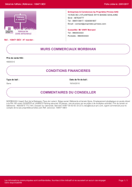 murs commerciaux morbihan conditions financieres commentaires
