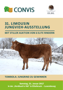 31. LIMOUSIN Jungvieh-Ausstellung