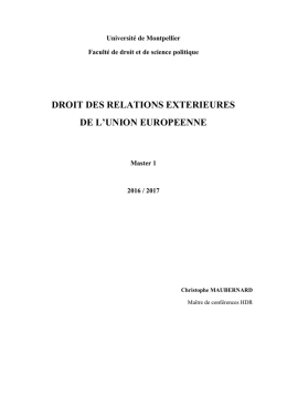 droit des relations exterieures de l`union europeenne
