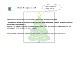 Collecte des sapins de noël