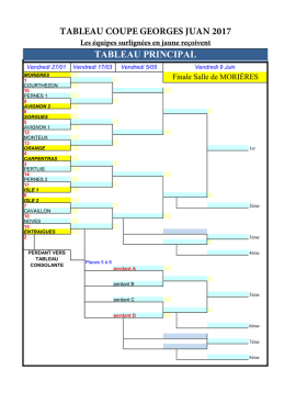 TABLEAU COUPE GEORGES JUAN 2017 TABLEAU PRINCIPAL