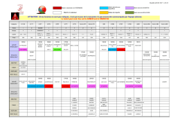 Planning Phase 2 - eclaireurs basket st martin des noyers