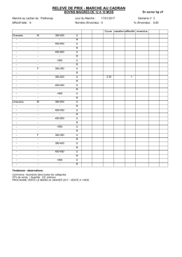ActiveReports Document