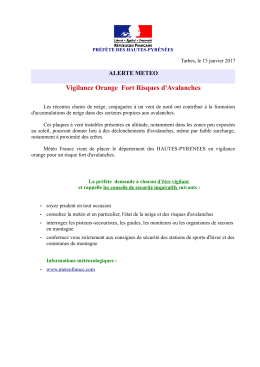 Vigilance Orange Fort Risques d`Avalanches - Lourdes