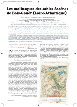 Les mollusques des sables éocènes de Bois