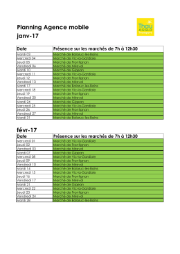 Planning Agence mobile janv-17 févr-17