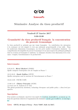 Granularité du tissu productif français - OFCE