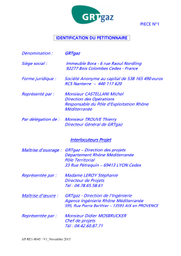 p1 identification petionnaire