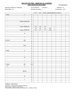 ActiveReports Document