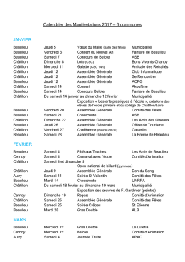 Les fêtes et manifestations dans le Canton en 2017 - Châtillon