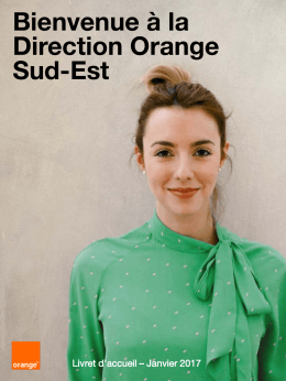 La Direction Orange Sud-Est - Over-blog