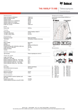 T40.180SLP 75 IIIB T&eacute;lescopiques