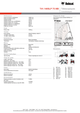 T41.140SLP 75 IIIB T&eacute;lescopiques