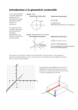 Introduction &agrave; la g&eacute;om&eacute;trie vectorielle