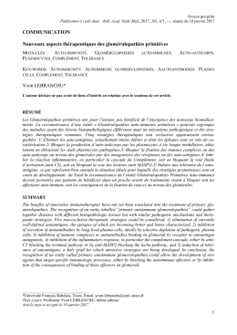 17.1.10 LEBRANCHU site