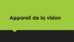 APPAREIL de la vision