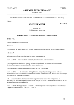 assemblée nationale amendement