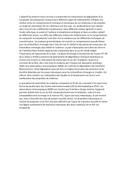 L`objectif du pr&eacute;sent travail consiste &agrave; comprendre les m&eacute;canismes
