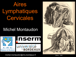 aires ganglionnaires cervicales