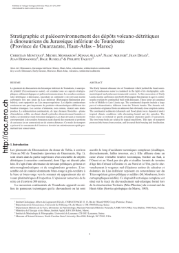 Stratigraphie et pal&eacute;oenvironnement des d&eacute;p&ocirc;ts volcano