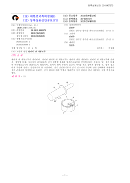 (19) 대한민국특허청(KR) (12) 등록실용신안공보(Y1)
