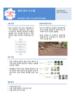 영상 감시 시스템