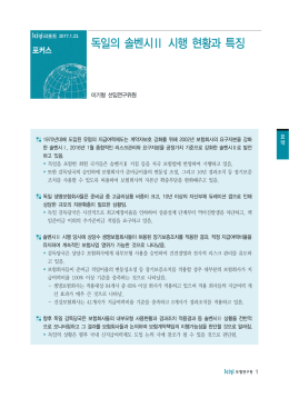 독일의 솔벤시Ⅱ 시행 현황과 특징