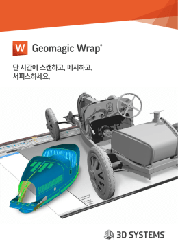 단 시간에 스캔하고, 메시하고, 서피스하세요.