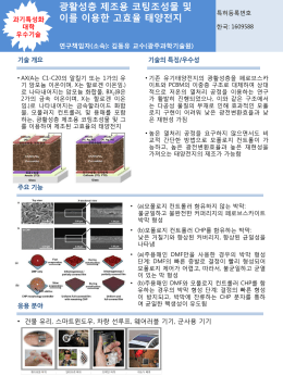 이를 이용한 고효율 태양전지
