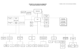 szervezeti fel&eacute;p&iacute;t&eacute;se