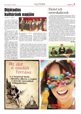 7 kultura.qxd